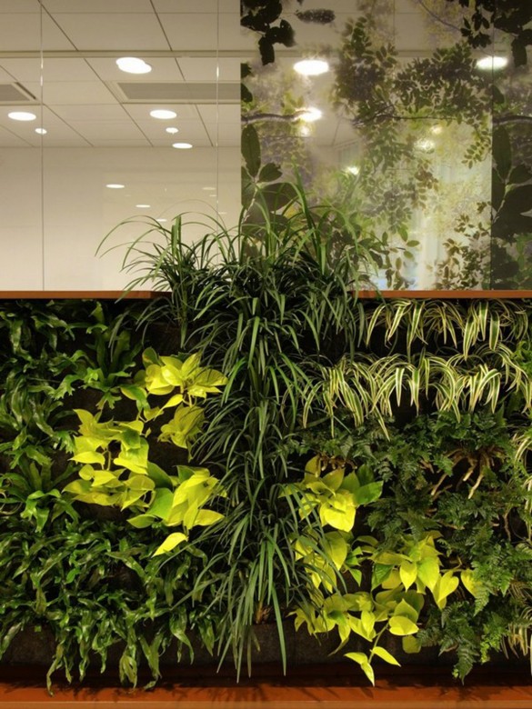 办公设计呼吁环境生态观配图-办公室装修图片4