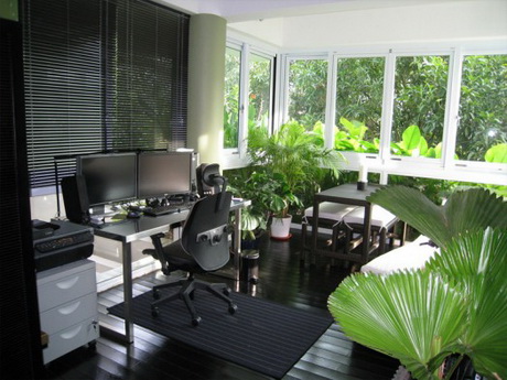 办公室设计中的绿化选用-办公室装修图片1