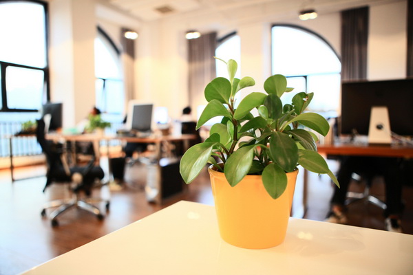 办公室装修的物理、心理环境分析-办公室装修