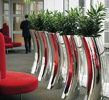 办公室室内植物选择-办公室装修图